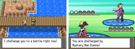 Pokemon True Soul NDS Nintendo DS Custom ROM Hack Video Game Cartridge